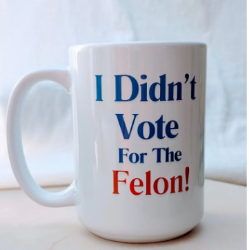 FELON  -- I Didn't Vote for the Felon